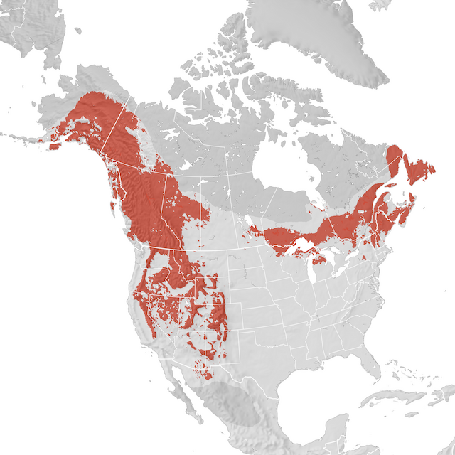 Range Map