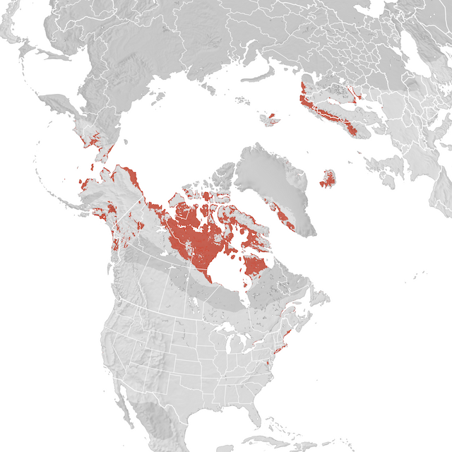 Range Map