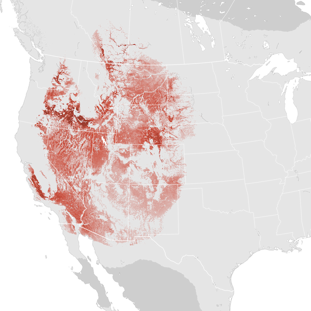 Abundance Map