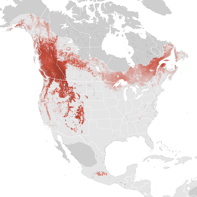 Abundance Map