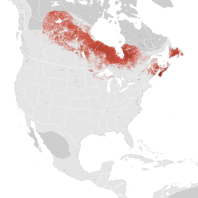 Abundance Map