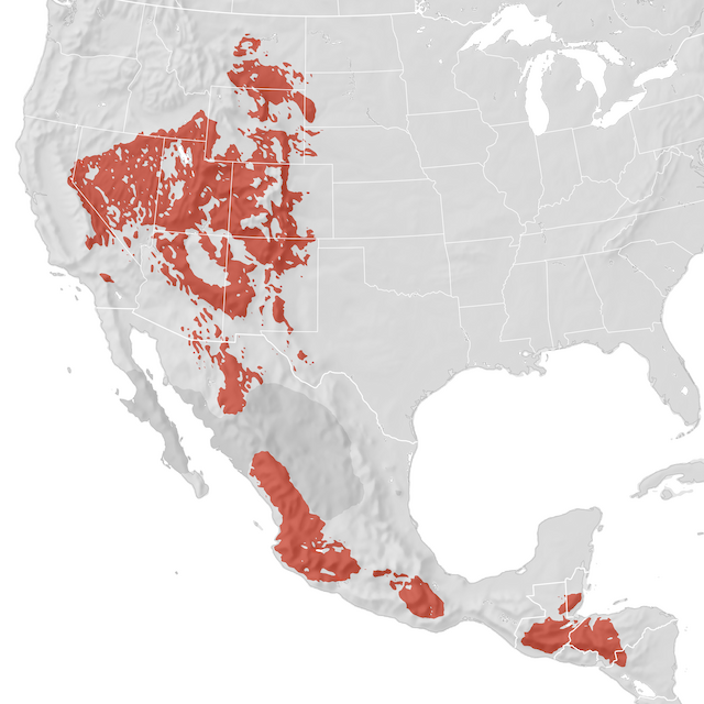 Range Map