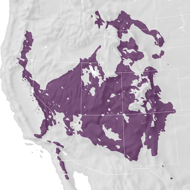 Range Map