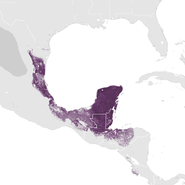 Abundance Map
