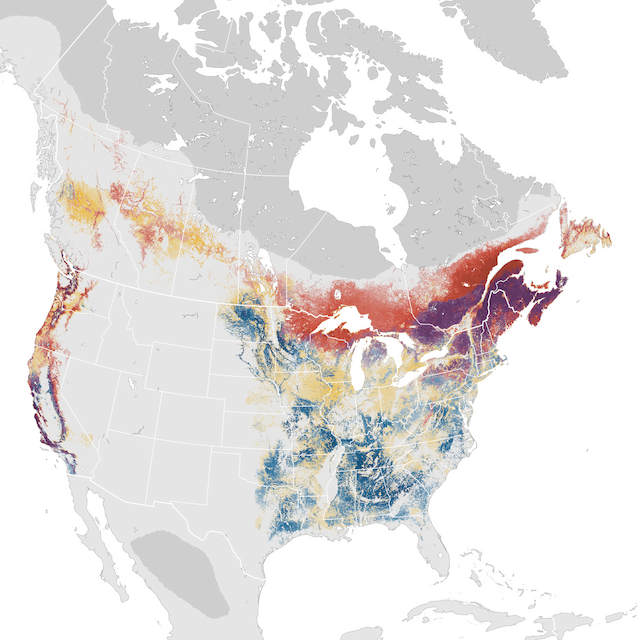Abundance Map