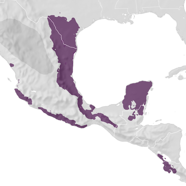 Range Map