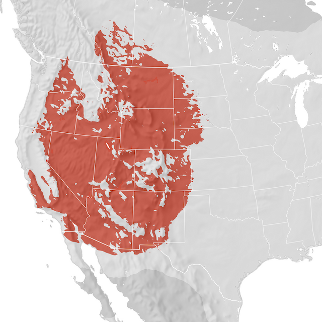 Range Map