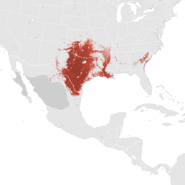 Abundance Map