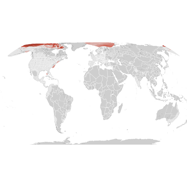 Abundance Map