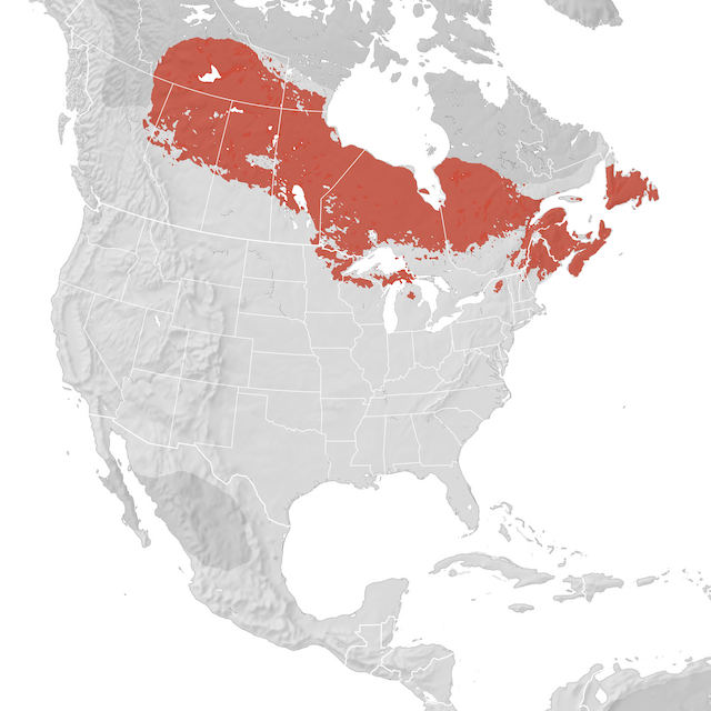 Range Map