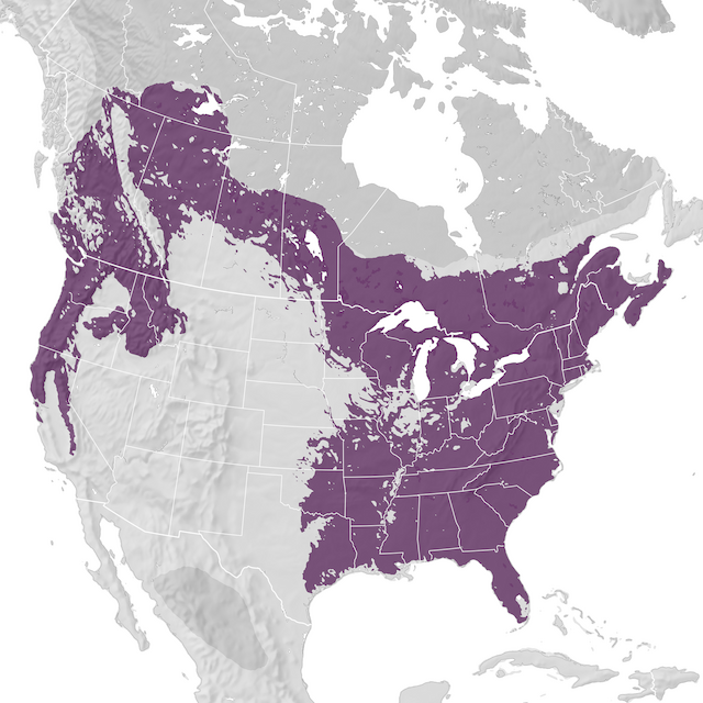 Range Map
