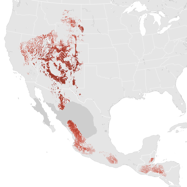 Abundance Map