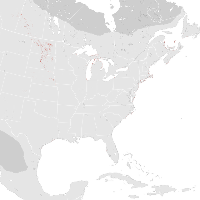 Abundance Map