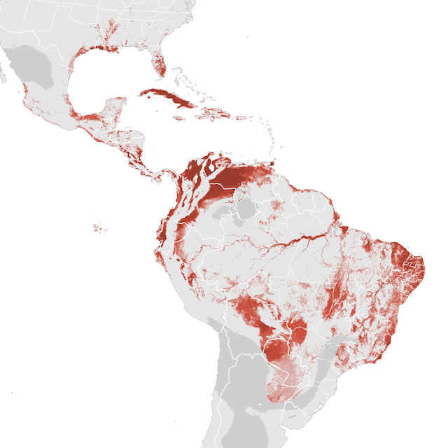 Abundance Map