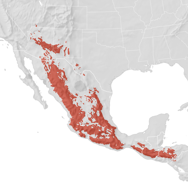 Range Map