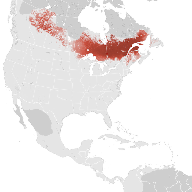 Abundance Map