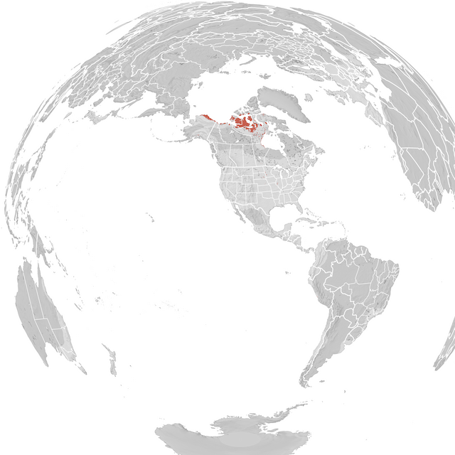 Range Map