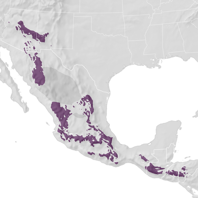 Range Map
