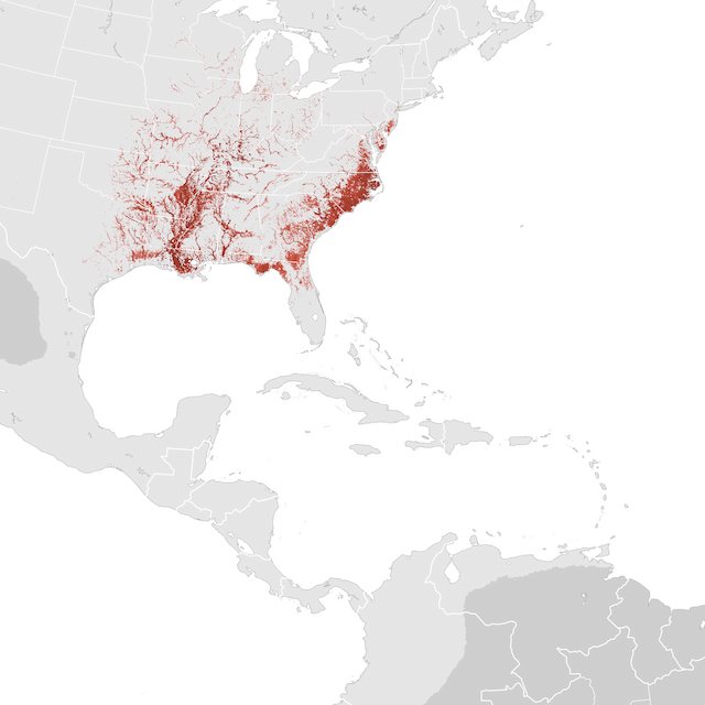 Abundance Map