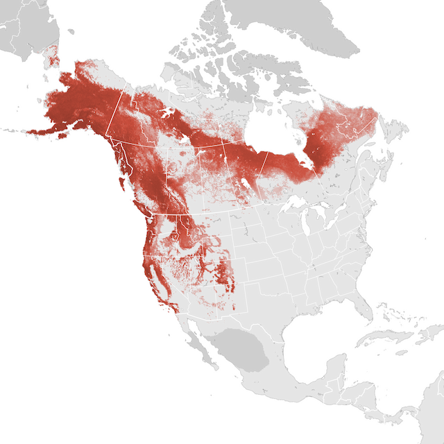 Abundance Map