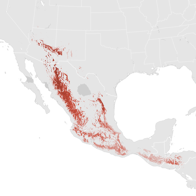 Abundance Map