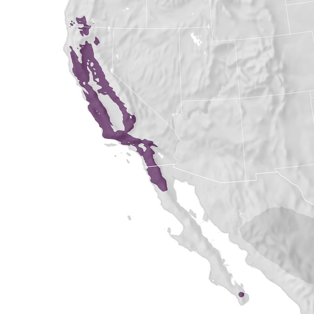 Range Map