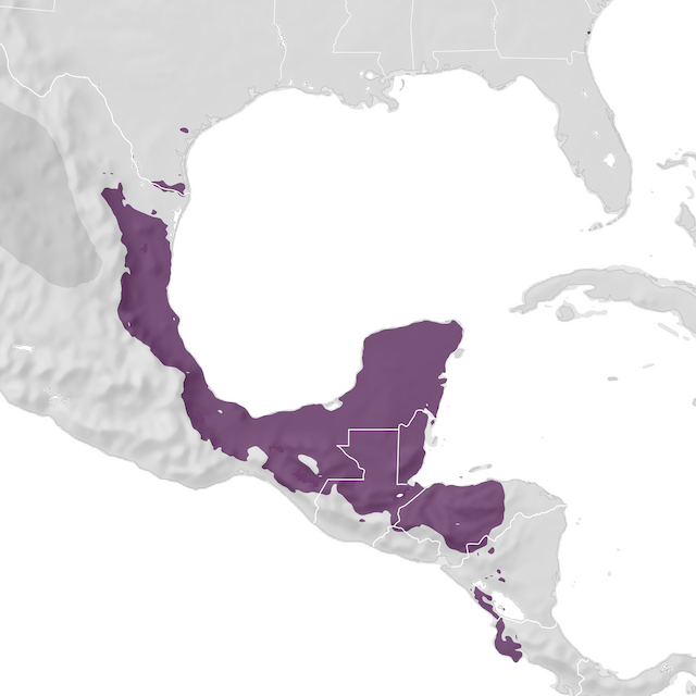 Range Map