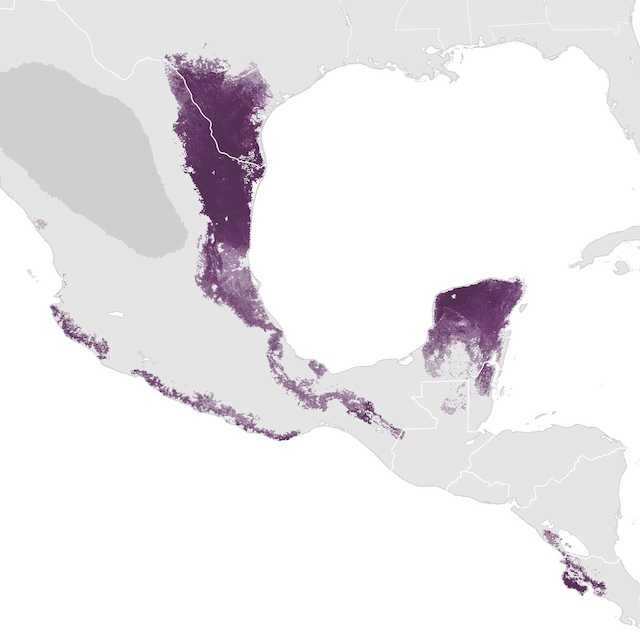 Abundance Map