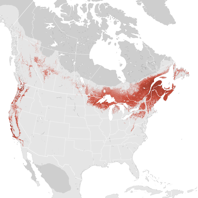 Abundance Map
