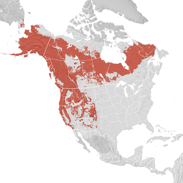Range Map