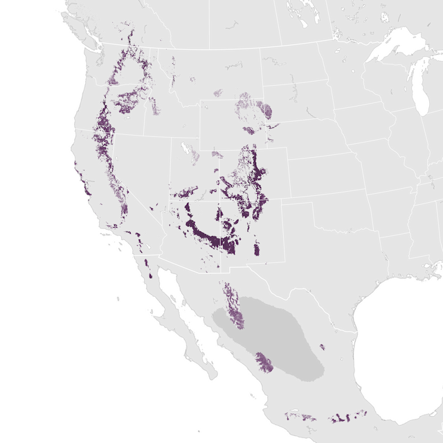 Abundance Map