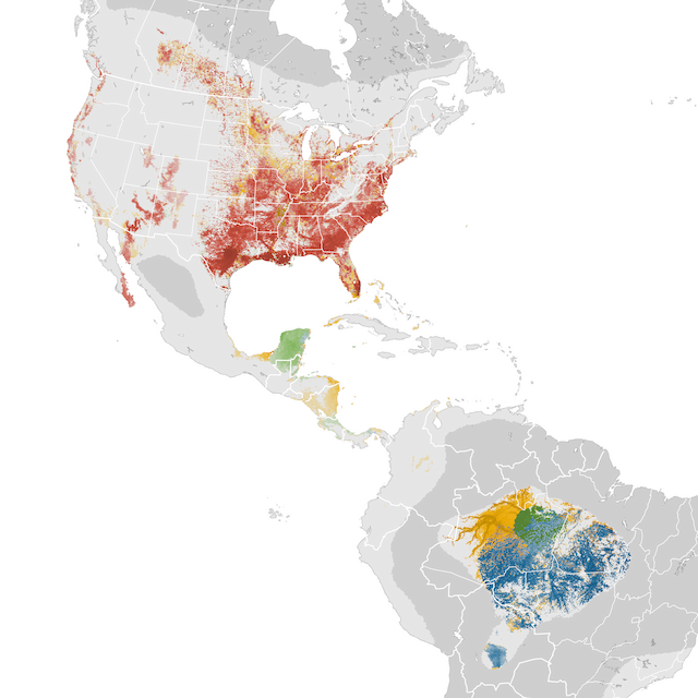Abundance Map