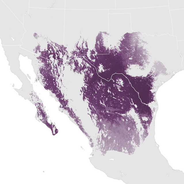 Abundance Map