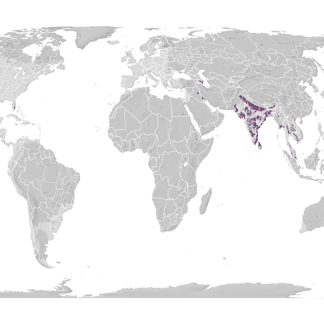Range Map