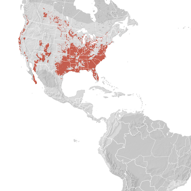Range Map