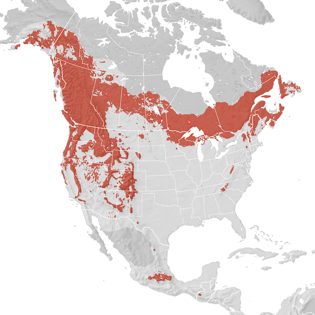 Range Map