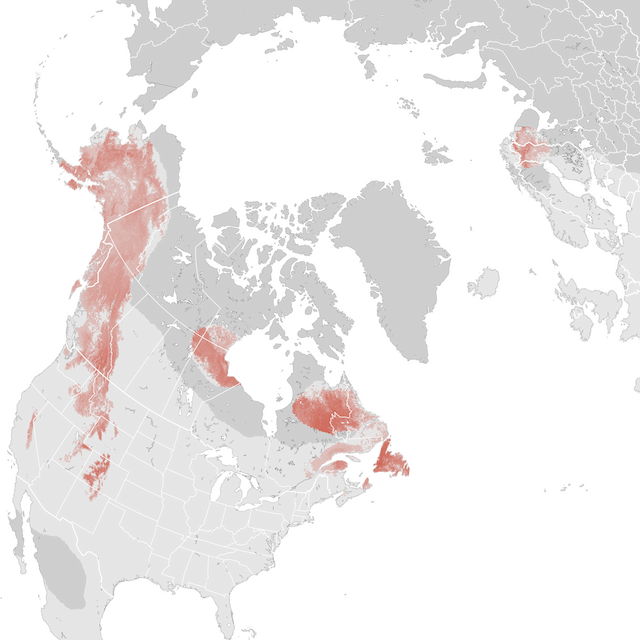 Abundance Map