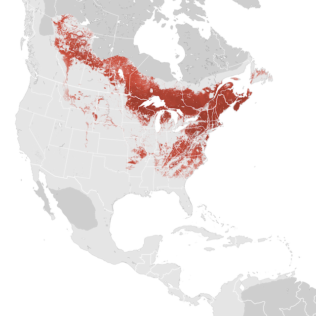 Abundance Map