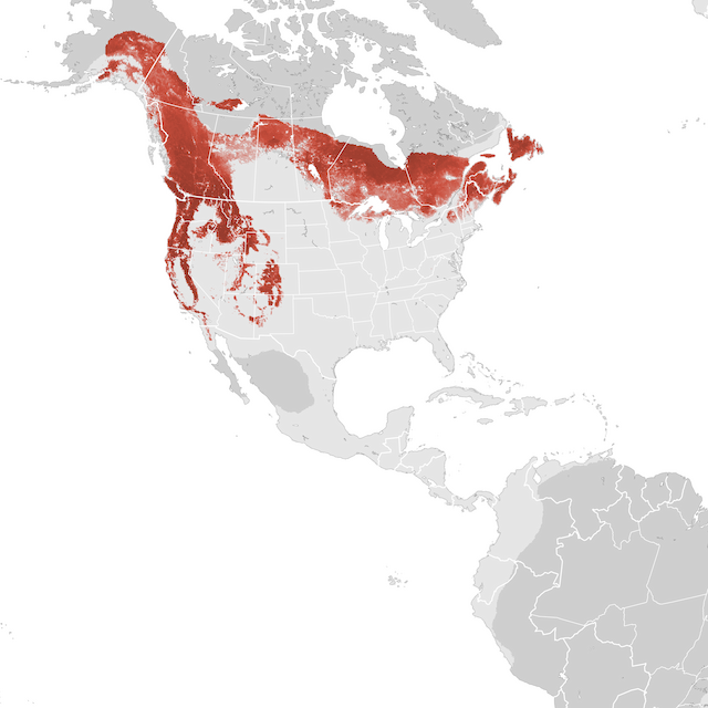 Abundance Map