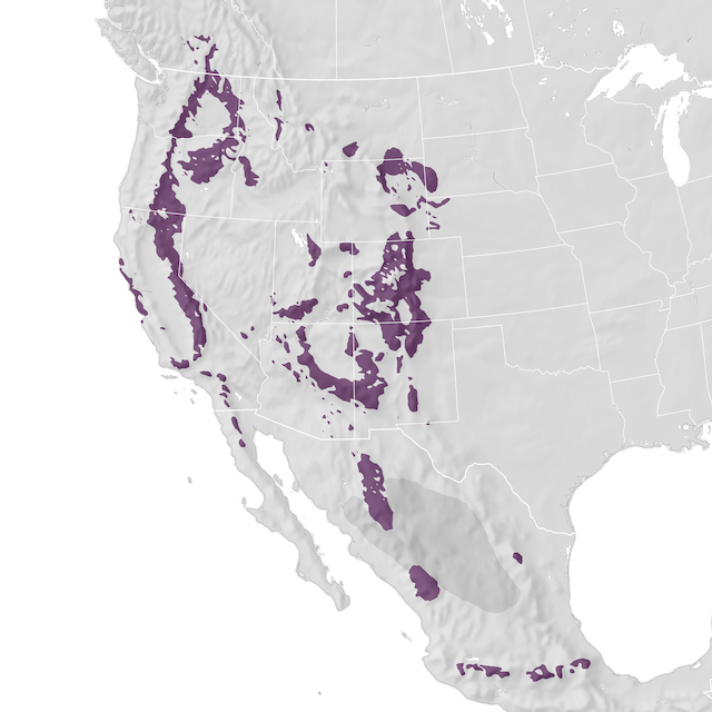 Range Map