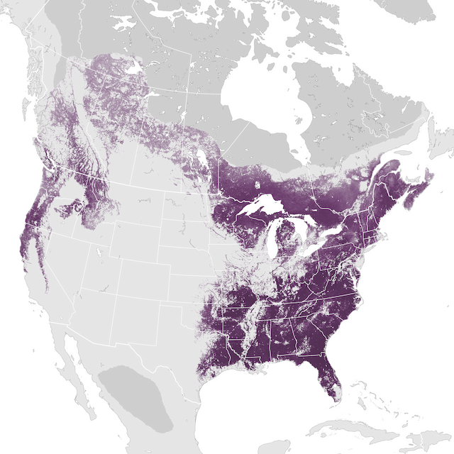 Abundance Map