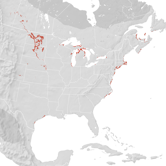 Range Map
