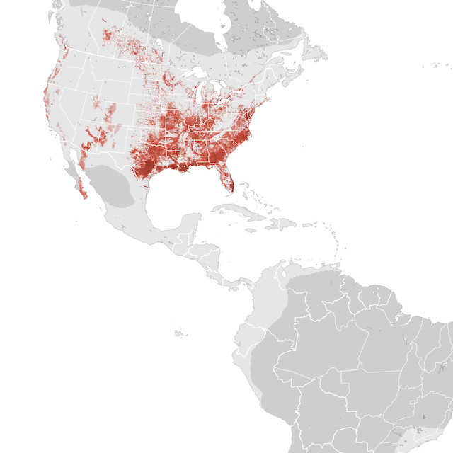 Abundance Map