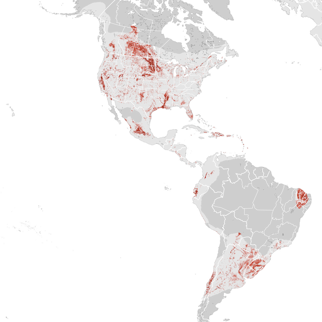 Abundance Map