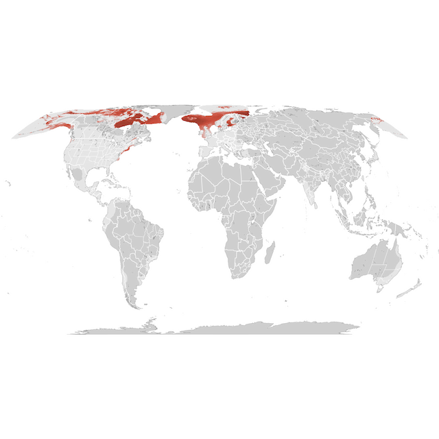 Abundance Map