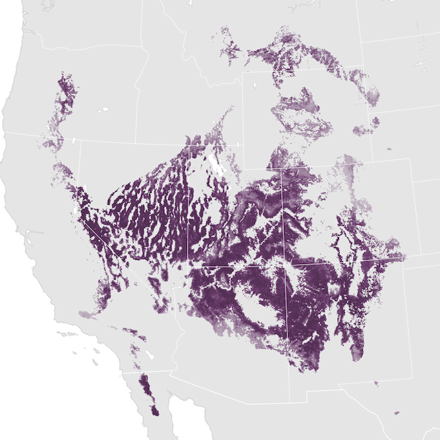 Abundance Map