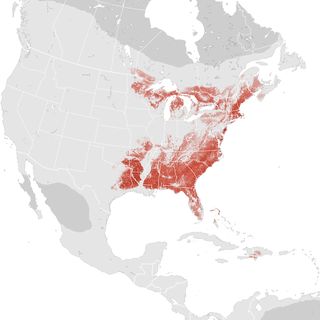 Abundance Map