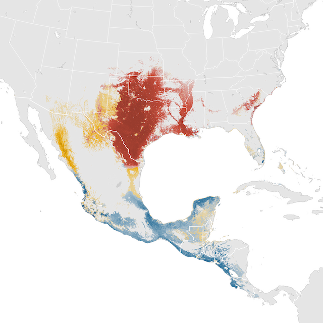 Abundance Map