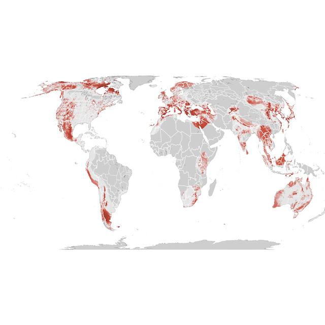 Abundance Map