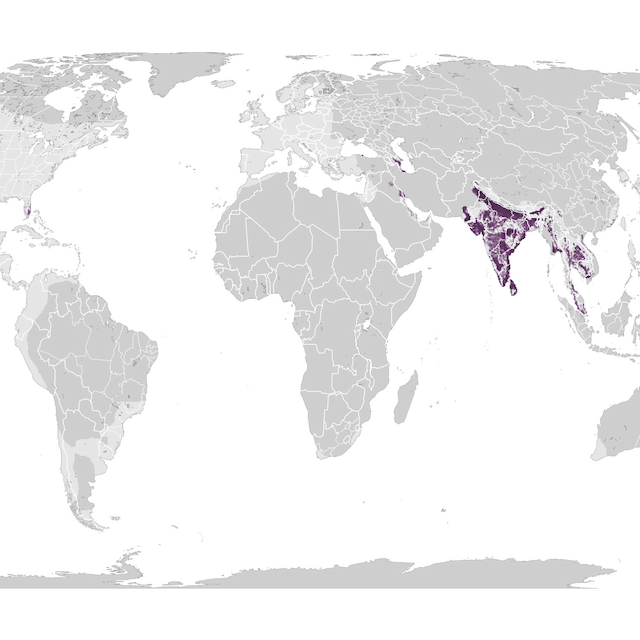 Abundance Map